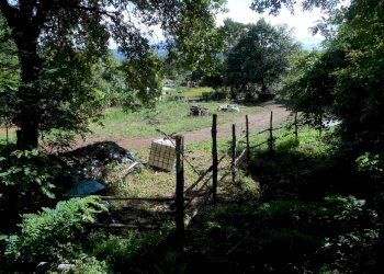 DSCN1935.JPG - Terreno edificabile Via Francesco Ferraris, Lucca - foto 10