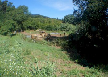 DSCN1937.JPG - Terreno edificabile Via Francesco Ferraris, Lucca - foto 12