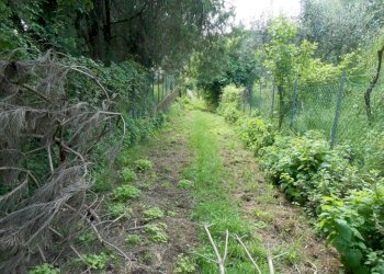 DSCN0555.JPG - Terreno edificabile Via Francesco Ferraris, Lucca - foto 14
