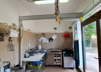 Alimentari - Gastronomia Marzabotto - foto 13