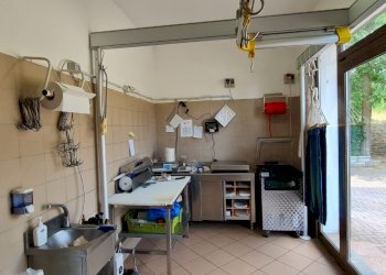 Alimentari - Gastronomia Marzabotto - foto 14