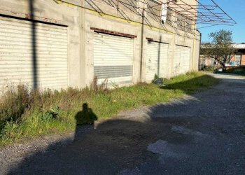 lu8.jpg - Locale Commerciale Luni - foto 9