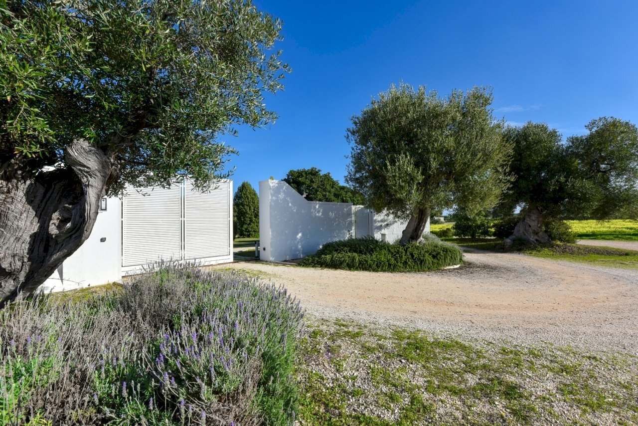 DSC_1100 e - Copia.jpg - Villa Via Traiana 48a, Monopoli - foto 2