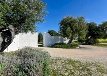 DSC_1100 e - Copia.jpg - Villa Via Traiana 48a, Monopoli - foto 2