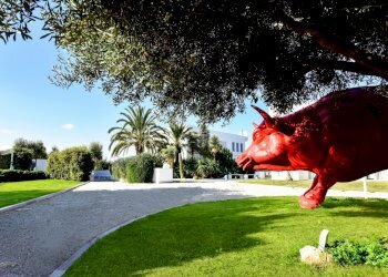 DSC_1157e.jpg - Villa Via Traiana 48a, Monopoli - foto 6