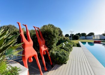 DSC_1269.jpg - Villa Via Traiana 48a, Monopoli - foto 13