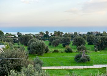 DSC_1484.jpg - Villa Via Traiana 48a, Monopoli - foto 16