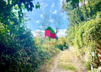 sentiero bosco - Rustic Cerretto Langhe - photo 25