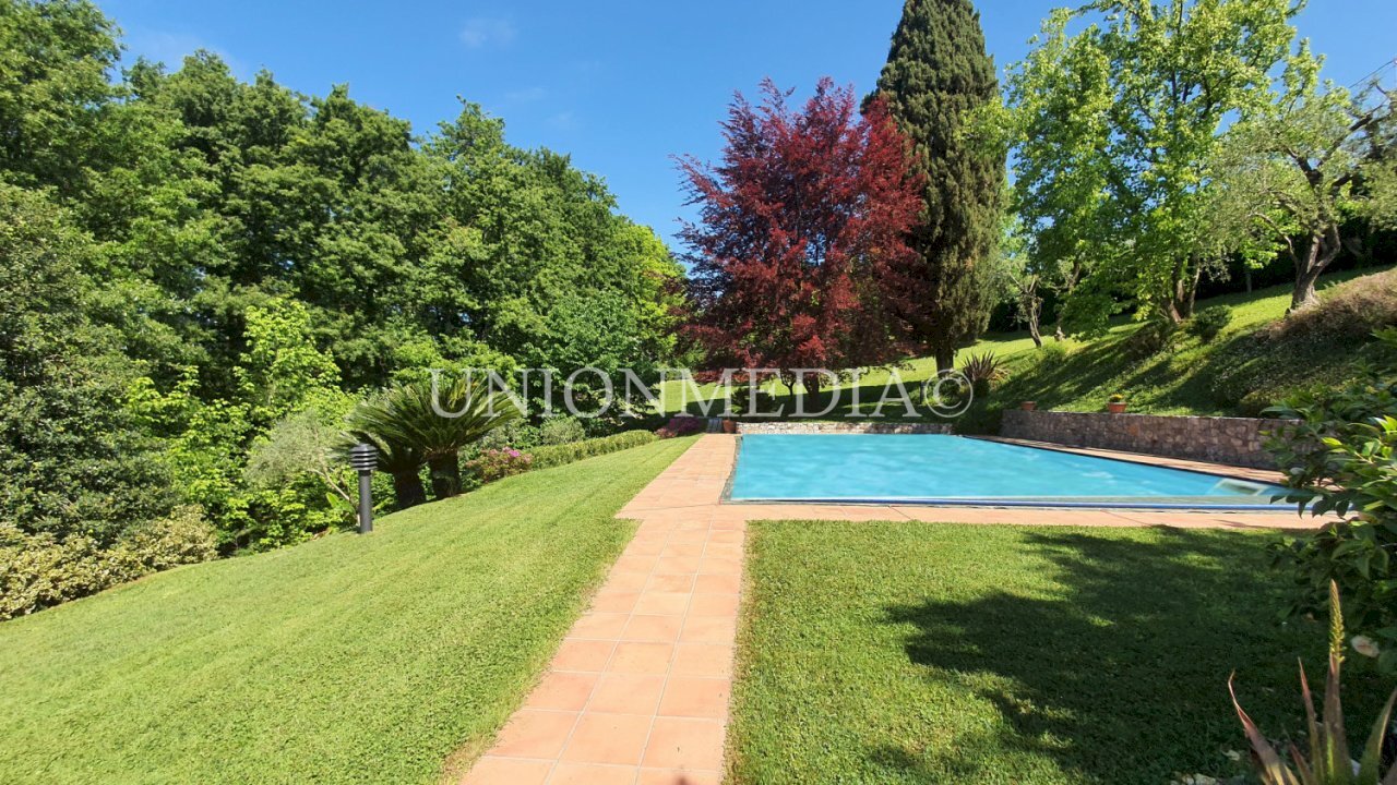 411104.jpg - Villa Sarzana - photo 1