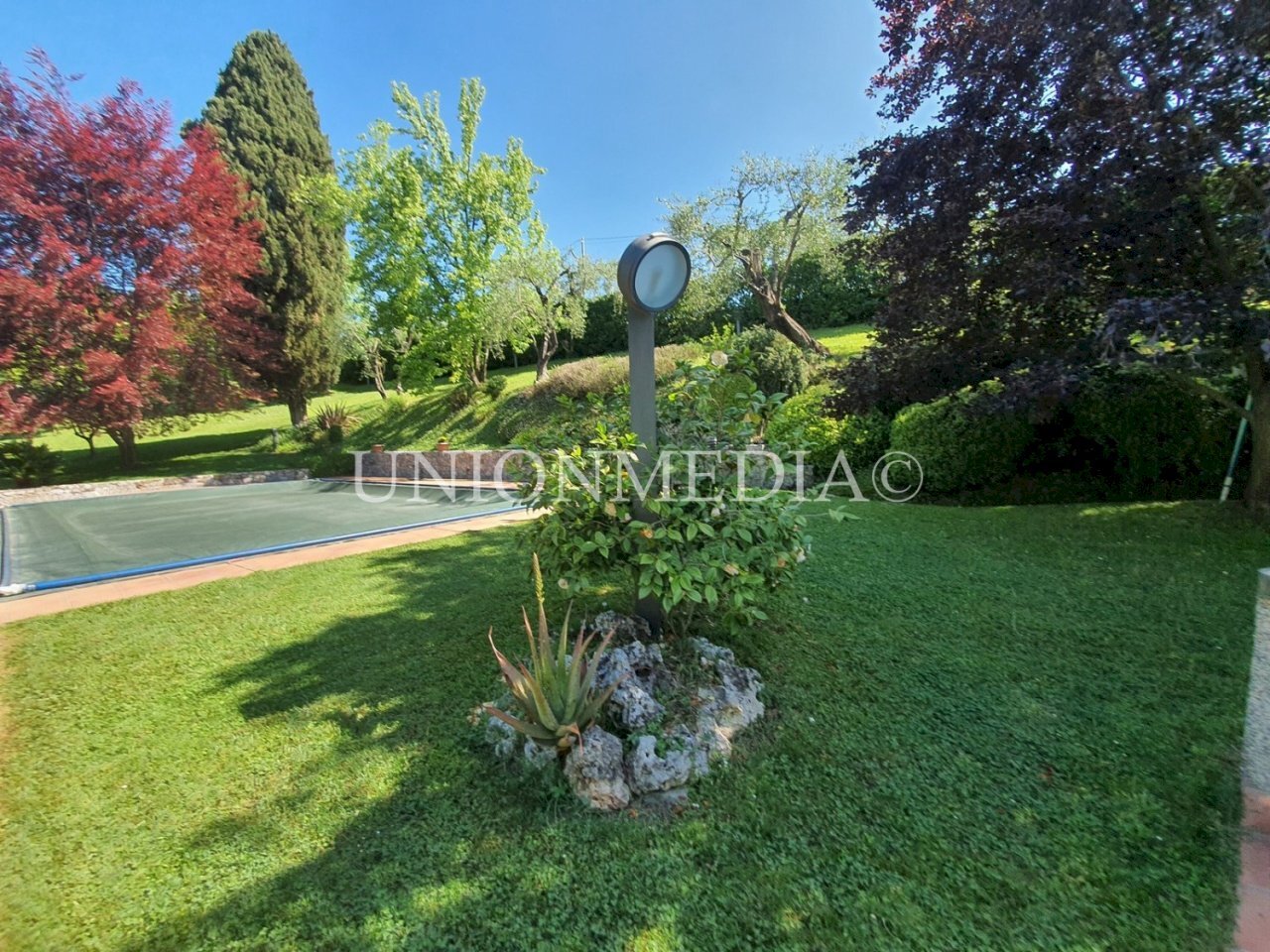 411069.jpg - Villa Sarzana - photo 2
