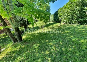 411080.jpg - Villa Sarzana - foto 8