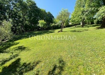 411083.jpg - Villa Sarzana - foto 11