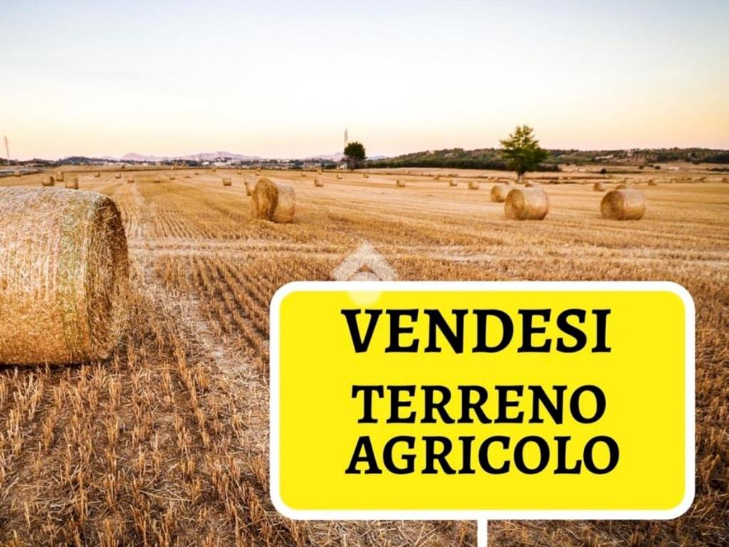 Agricultural land Strada di Riva presso Chieri, Poirino - photo 3