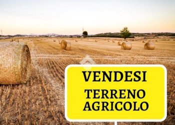 Terreno agricolo Strada di riva di banna, Poirino - foto 1