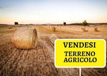 Terreno agricolo Strada di riva di banna, Poirino - foto 11