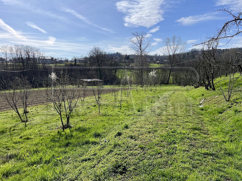 Agricultural land Bibiana - photo 3