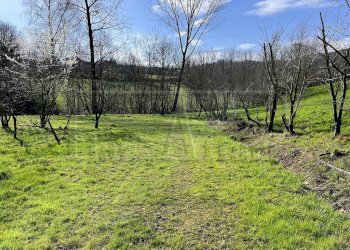 Agricultural land Bibiana - photo 1