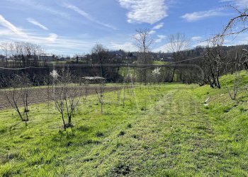 Agricultural land Bibiana - photo 3