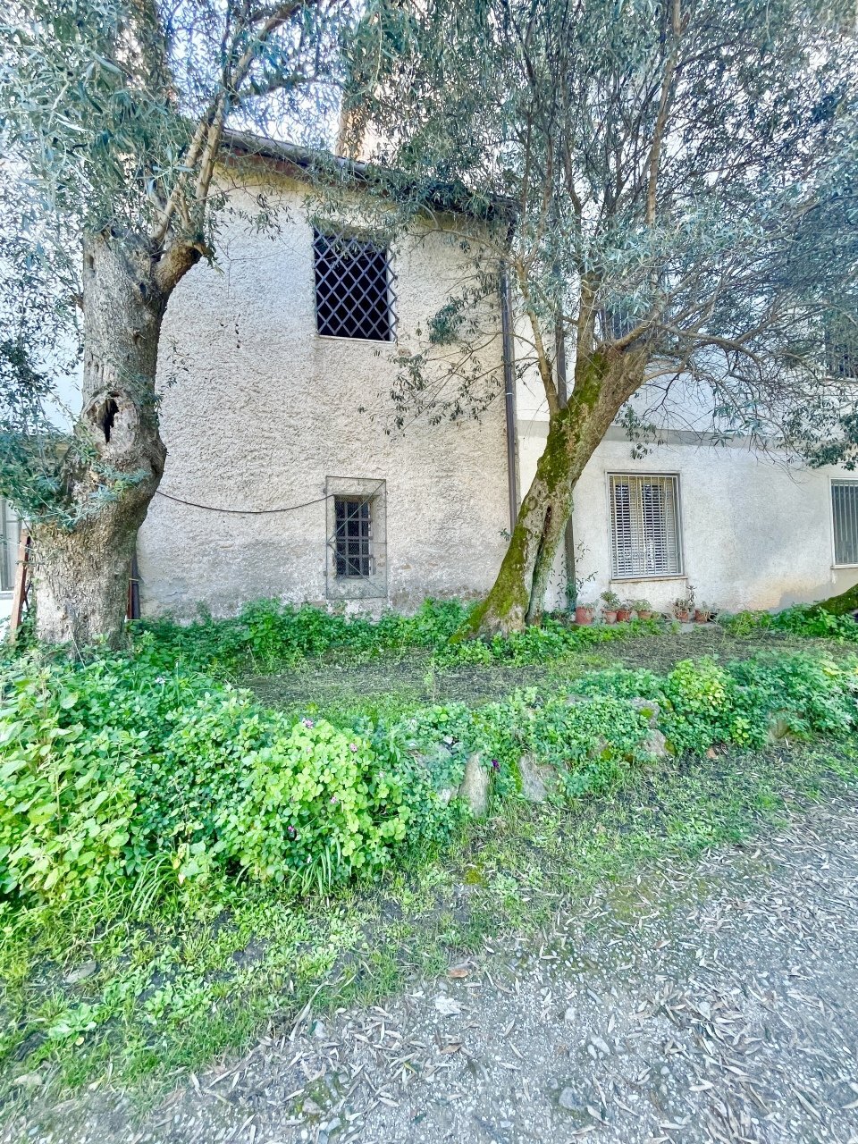 IMG_3357 2.jpg - Terratetto - Terracielo Montignoso - foto 1