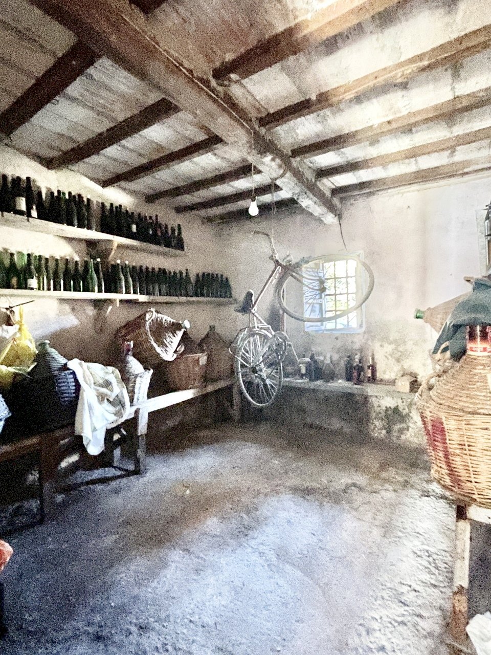 IMG_3347.jpg - Terratetto - Terracielo Montignoso - foto 3