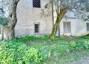 IMG_3357 2.jpg - Terratetto - Terracielo Montignoso - foto 1