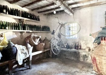 IMG_3347.jpg - Terratetto - Terracielo Montignoso - foto 3