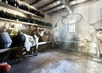 IMG_3348.jpg - Terratetto - Terracielo Montignoso - foto 4