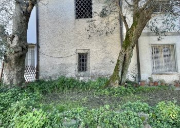 IMG_3358.jpg - Terratetto - Terracielo Montignoso - foto 13