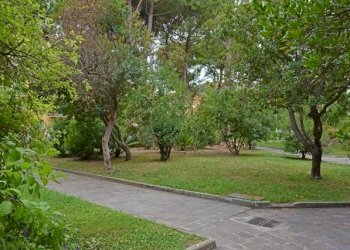 DSC_3738.jpg - Trilocale Viale Europa 5, San Bartolomeo al Mare - foto 14