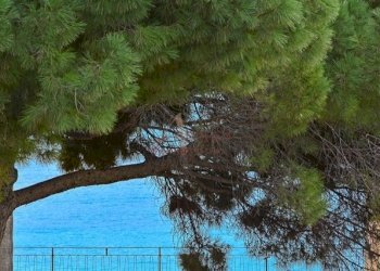 DSC_1554.jpg - Trilocale Via Aurelia 57, San Bartolomeo al Mare - foto 4