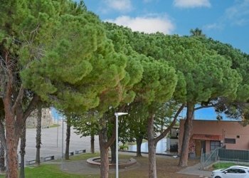 DSC_1557.jpg - Trilocale Via Aurelia 57, San Bartolomeo al Mare - foto 15