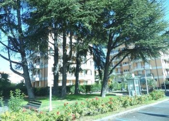 P1020012-640x467.jpg - Box Giardini I Maggio, San Bartolomeo al Mare - foto 1