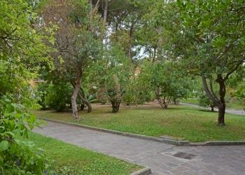 DSC_3738.jpg - Trilocale Viale Europa, San Bartolomeo al Mare - foto 9