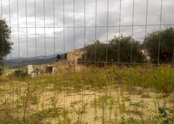 Terreno - Building land via Carolano, Montelibretti - photo 5