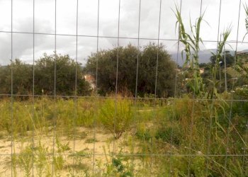 Terreno - Building land via Carolano, Montelibretti - photo 6
