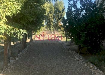 Casa indipendente Grosseto - foto 3