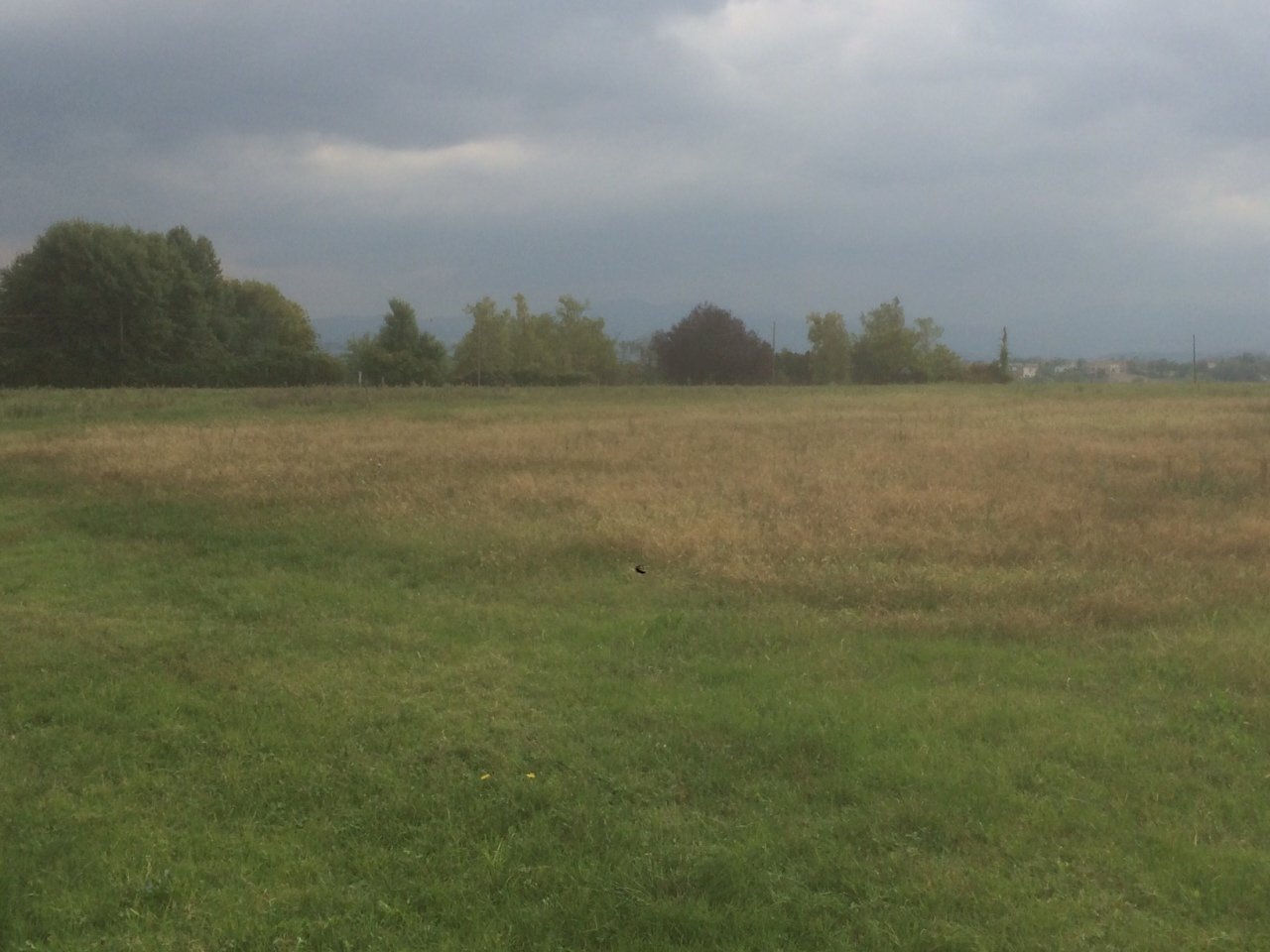 IMG_2461.JPG - Locale Commerciale Noceto, Noceto - foto 2