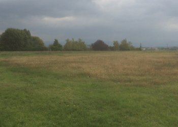 IMG_2461.JPG - Locale Commerciale Noceto, Noceto - foto 2