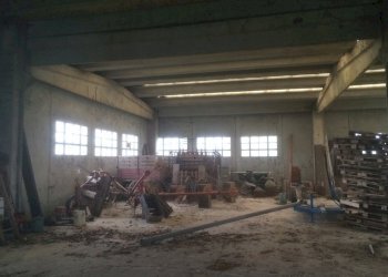 IMG_2466.JPG - Locale Commerciale Noceto, Noceto - foto 6