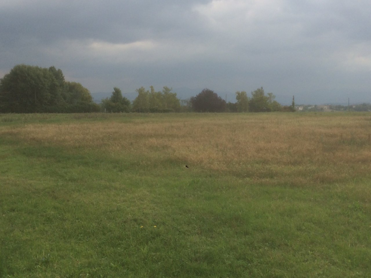 IMG_2461.JPG - Terreno agricolo Noceto, Noceto - foto 2