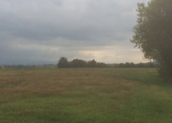 IMG_2460.JPG - Terreno agricolo Noceto, Noceto - foto 1