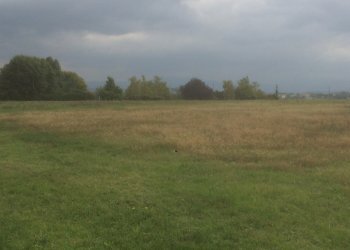 IMG_2461.JPG - Terreno agricolo Noceto, Noceto - foto 2