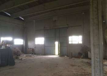 IMG_2464.JPG - Terreno agricolo Noceto, Noceto - foto 4