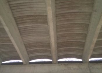 IMG_2467.JPG - Terreno agricolo Noceto, Noceto - foto 5