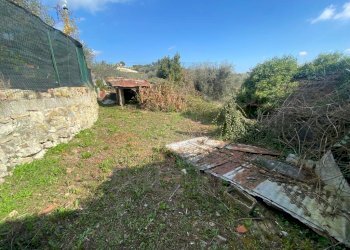 giardino - Villa Via delle Otto Case 199, Ventimiglia - foto 4