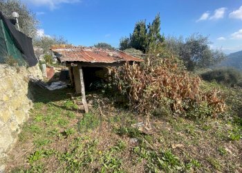 giardino - Villa Via delle Otto Case 199, Ventimiglia - foto 5