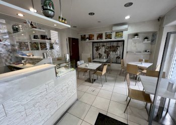 locale - Bar Tavola Calda - Fredda Pinerolo - foto 1