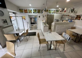 locale - Bar Tavola Calda - Fredda Pinerolo - foto 2