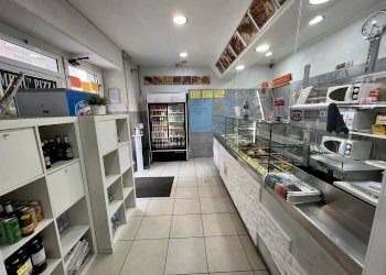 locale - Bar Tavola Calda - Fredda Pinerolo - foto 3