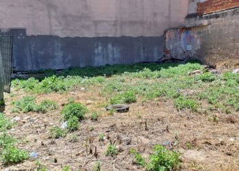 interno - Terreno edificabile Quartu Sant'Elena - foto 5